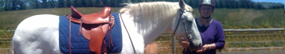 Horse using a treeless saddle